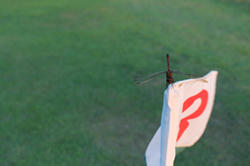 2012091503.jpg
