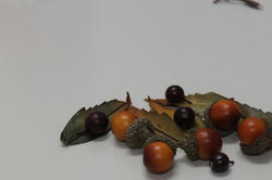 20120917d.jpg
