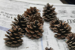 20120917b.jpg