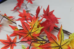 20120917c.jpg