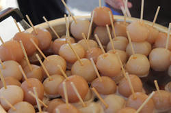 20121020d.jpg