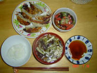 DSC09878.JPE