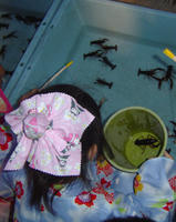 DSC09974.JPG