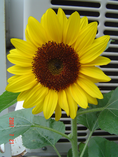 DSC00002.JPG