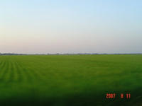 Dsc00445.jpe