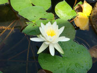 DSC00014.JPG