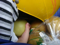 DSC00113.JPG