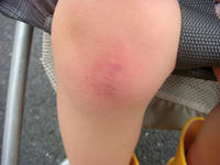 DSC00139.JPG