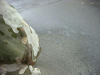 DSC00148.JPG
