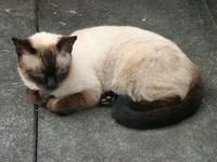 DSC00193.JPG