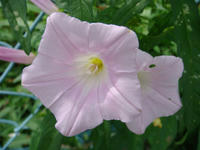 DSC00198.JPG