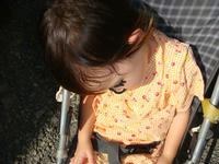 DSC00242.JPG