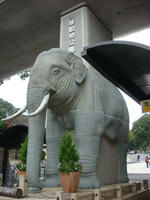 DSC00442.JPG