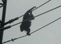 DSC00472.JPG
