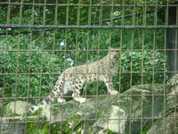 DSC00480.JPG