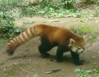 DSC00483.JPG