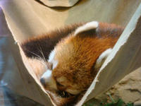 DSC00484.JPG