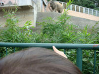 DSC00492.JPG