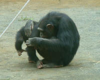 DSC00510.JPG