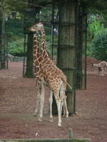 DSC00522.JPG