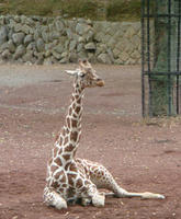 DSC00524.JPG