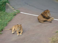 DSC00531.JPG
