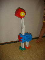 DSC00563.JPG