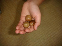 DSC00574.JPG