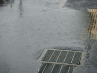 DSC00643.JPG