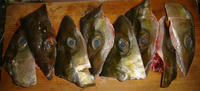 DSC00711.JPG