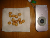 DSC00734.JPG