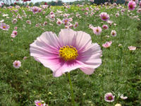 DSC00769.JPG
