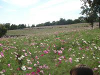 DSC00791.JPG