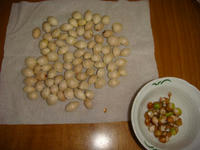 DSC00833.JPG