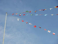 DSC01015.JPG