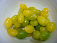 DSC01140.JPG