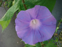 DSC01147.JPG