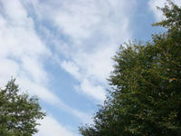 DSC01208.JPG