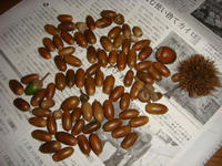 DSC01210.JPG