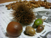DSC01216.JPG