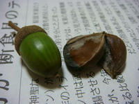 DSC01217.JPG