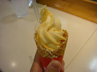 DSC01250.JPG