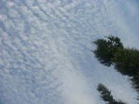 DSC01284.JPG