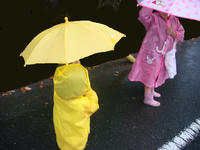 DSC01333.JPG