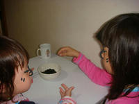 DSC01346.JPG