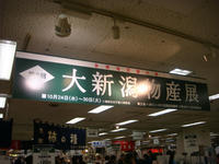 DSC01363.JPG