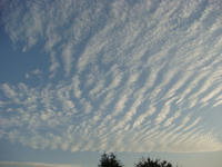 DSC01449.JPG