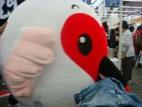 DSC01555.JPG