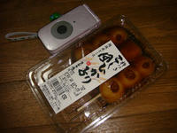 DSC01562.JPG