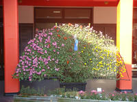 DSC01570.JPG